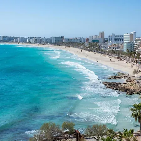 Apto Con Terraza 102 *